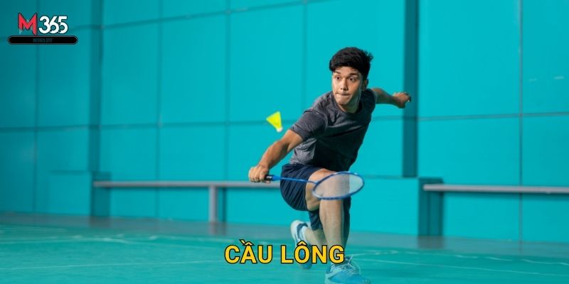 Cược Cầu Lông M365 – BWF Tour Và Olympic