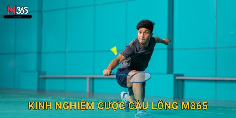 Kinh Nghiệm Cược Cầu Lông M365