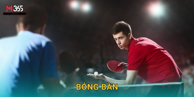 Khám Phá Cược Bóng Bàn M365 ITTF World Tour 1 Khám Phá Cược Bóng Bàn M365 ITTF World Tour