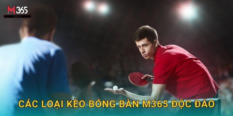 Khám Phá Cược Bóng Bàn M365 ITTF World Tour 2 Các Loại Kèo Bóng Bàn M365 Độc Đáo