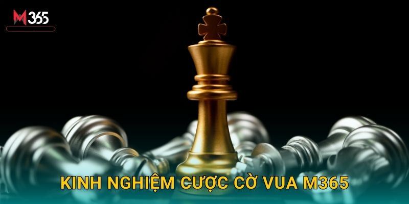 Kinh Nghiệm Cược Cờ Vua M365