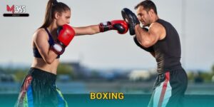 Quyền Anh Boxing M365 – Trận Đấu Triệu Đô