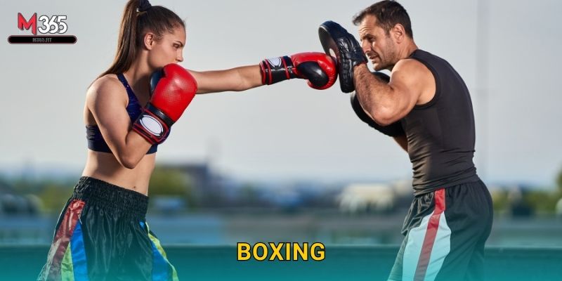 Quyền Anh Boxing M365 - Trận Đấu Triệu Đô 1 Quyền Anh Boxing M365 – Trận Đấu Triệu Đô