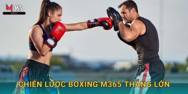 Quyền Anh Boxing M365 - Trận Đấu Triệu Đô 3 Chiến Lược Boxing M365 Thắng Lớn