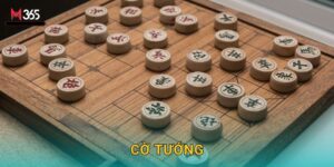 Cá Cược Cờ Tướng M365 – Giải Xiangqi Masters