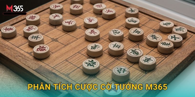 Phân Tích Cược Cờ Tướng M365