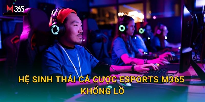 Hệ Sinh Thái Cá Cược Esports M365 Khổng Lồ