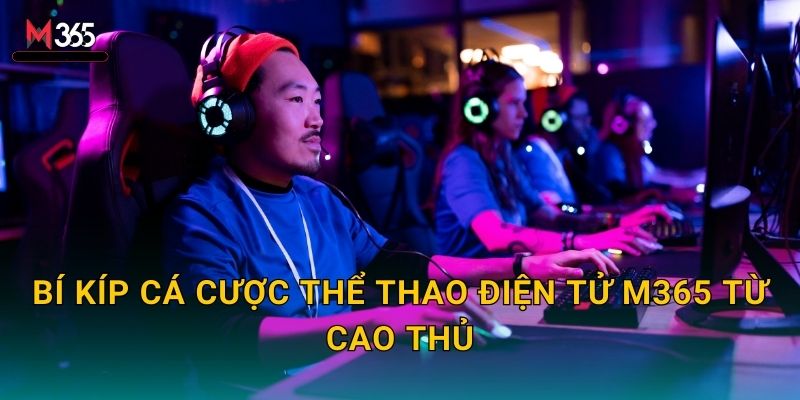 Bí kíp cá cược thể thao điện tử M365 từ cao thủ