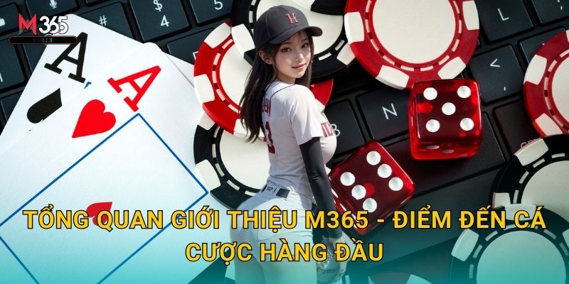 Khám Phá Chi Tiết Giới Thiệu Về Sòng Bạc M365 Uy Tín 1 Tổng Quan Giới Thiệu M365 - Điểm Đến Cá Cược Hàng Đầu
