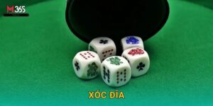 Sôi Động Xóc Đĩa M365 Online Công Bằng 100%