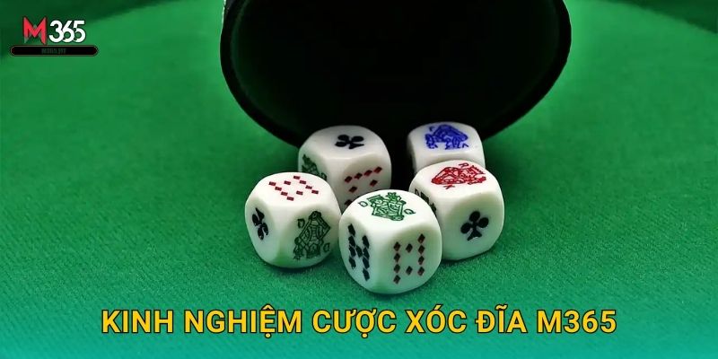 Sôi Động Xóc Đĩa M365 Online Công Bằng 100% 3 Kinh Nghiệm Cược Xóc Đĩa M365