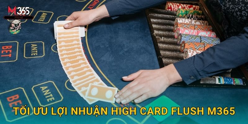Đỉnh Cao High Card Flush M365 7 Lá Cùng Chất 3 Tối Ưu Lợi Nhuận High Card Flush M365