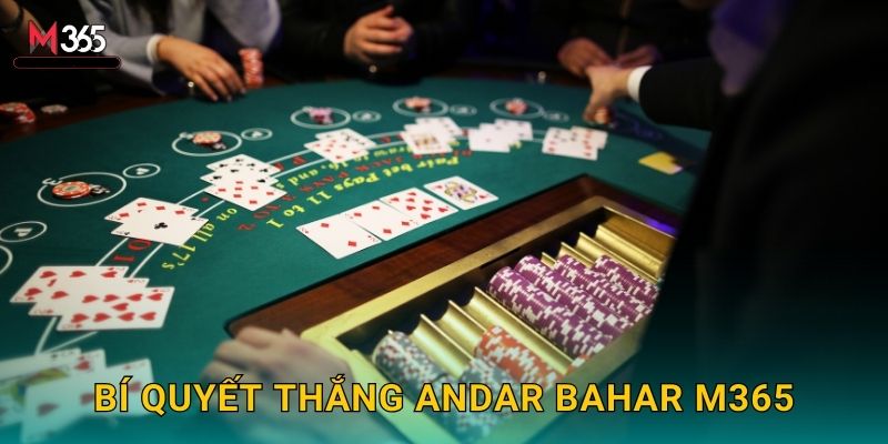 May Mắn Andar Bahar M365 50/50 Đơn Giản 3 Bí Quyết Thắng Andar Bahar M365