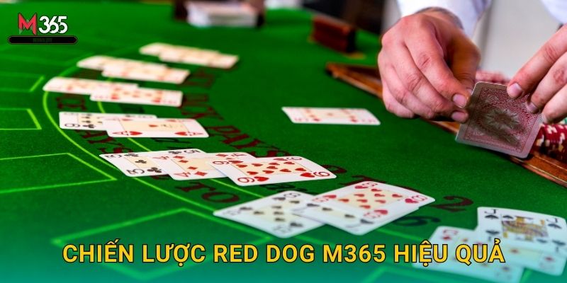 Thử Vận May Red Dog M365 Spread Betting Độc Lạ 3 Chiến Lược Red Dog M365 Hiệu Quả