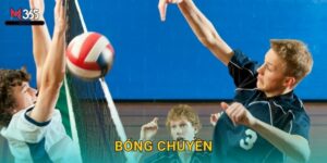 Đặt Cược Bóng Chuyền M365 Kèo Hot Mỗi Ngày