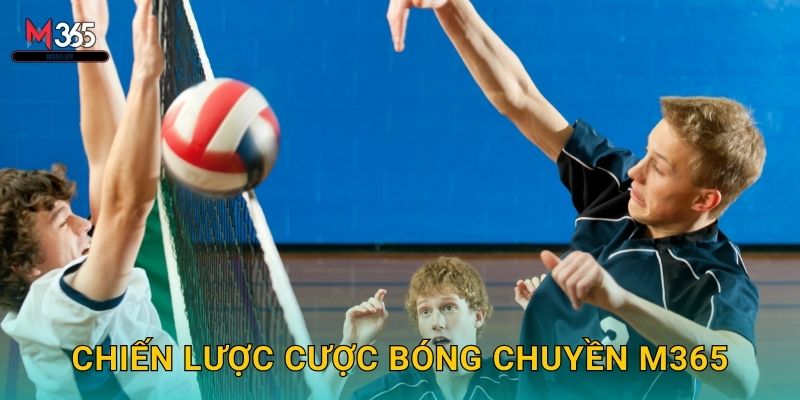 Đặt Cược Bóng Chuyền M365 Kèo Hot Mỗi Ngày 3 Chiến Lược Cược Bóng Chuyền M365