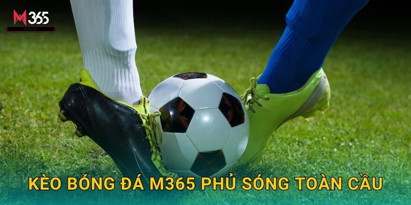 Kèo Bóng Đá M365 Phủ Sóng Toàn Cầu