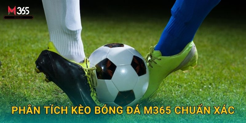 Phân Tích Kèo Bóng Đá M365 Chuẩn Xác