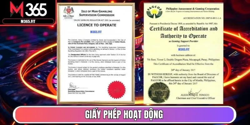 Trang chủ 22 Giấy phép hoạt động